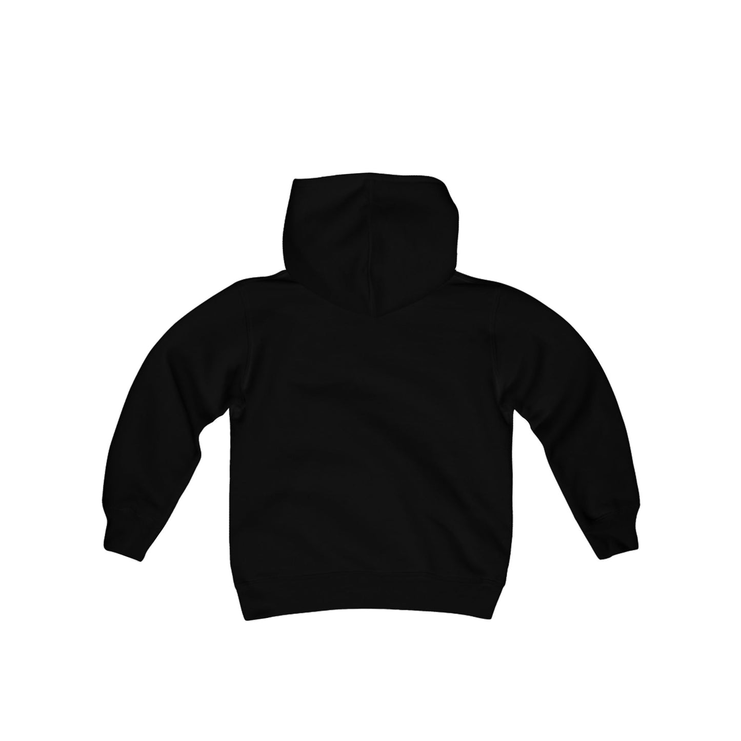 The Flying Thre3 TKD Youth Hoodie