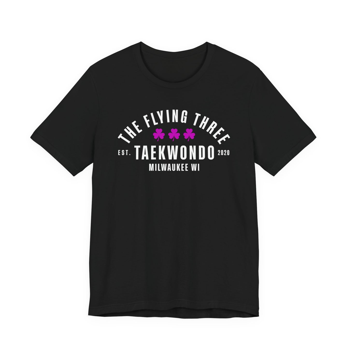 Taekwondo T‑Shirt — “The Flying Three” Milwaukee Martial Arts Tee