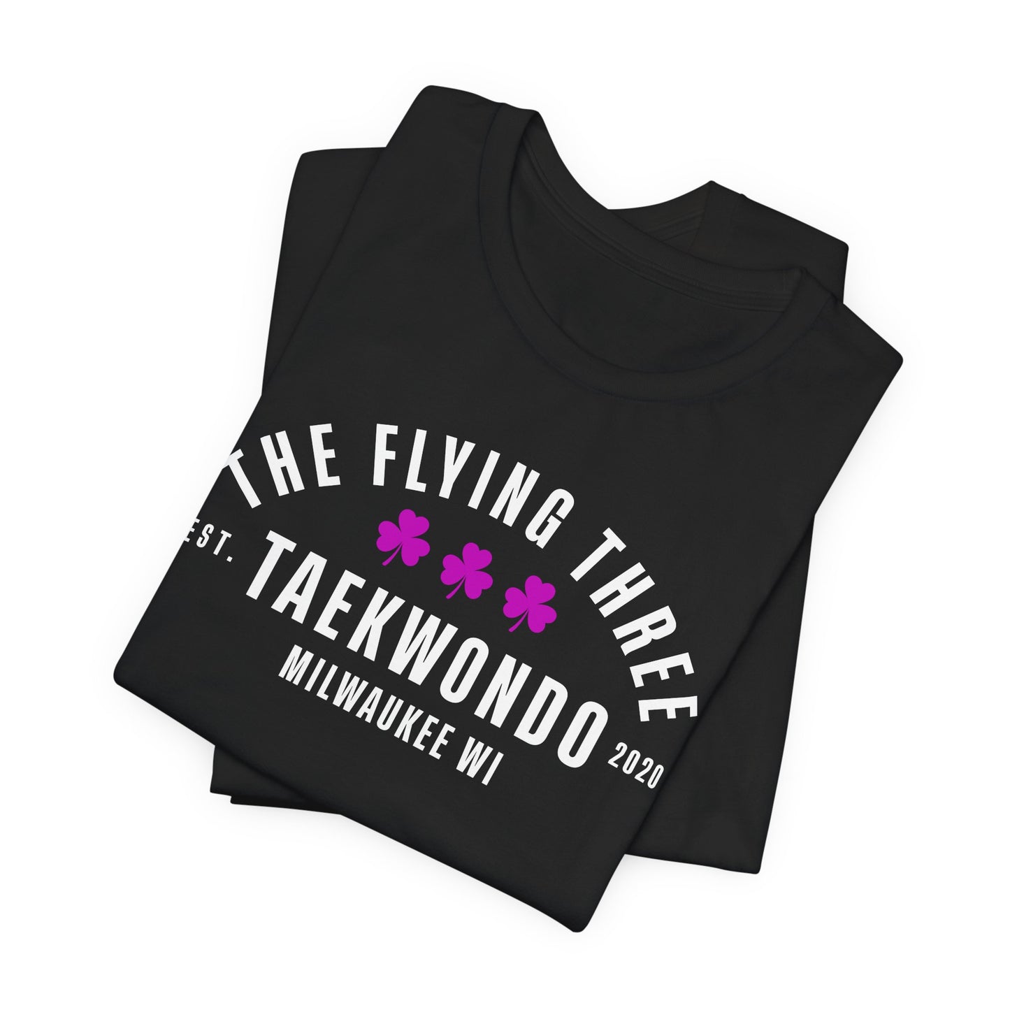 Taekwondo T‑Shirt — “The Flying Three” Milwaukee Martial Arts Tee