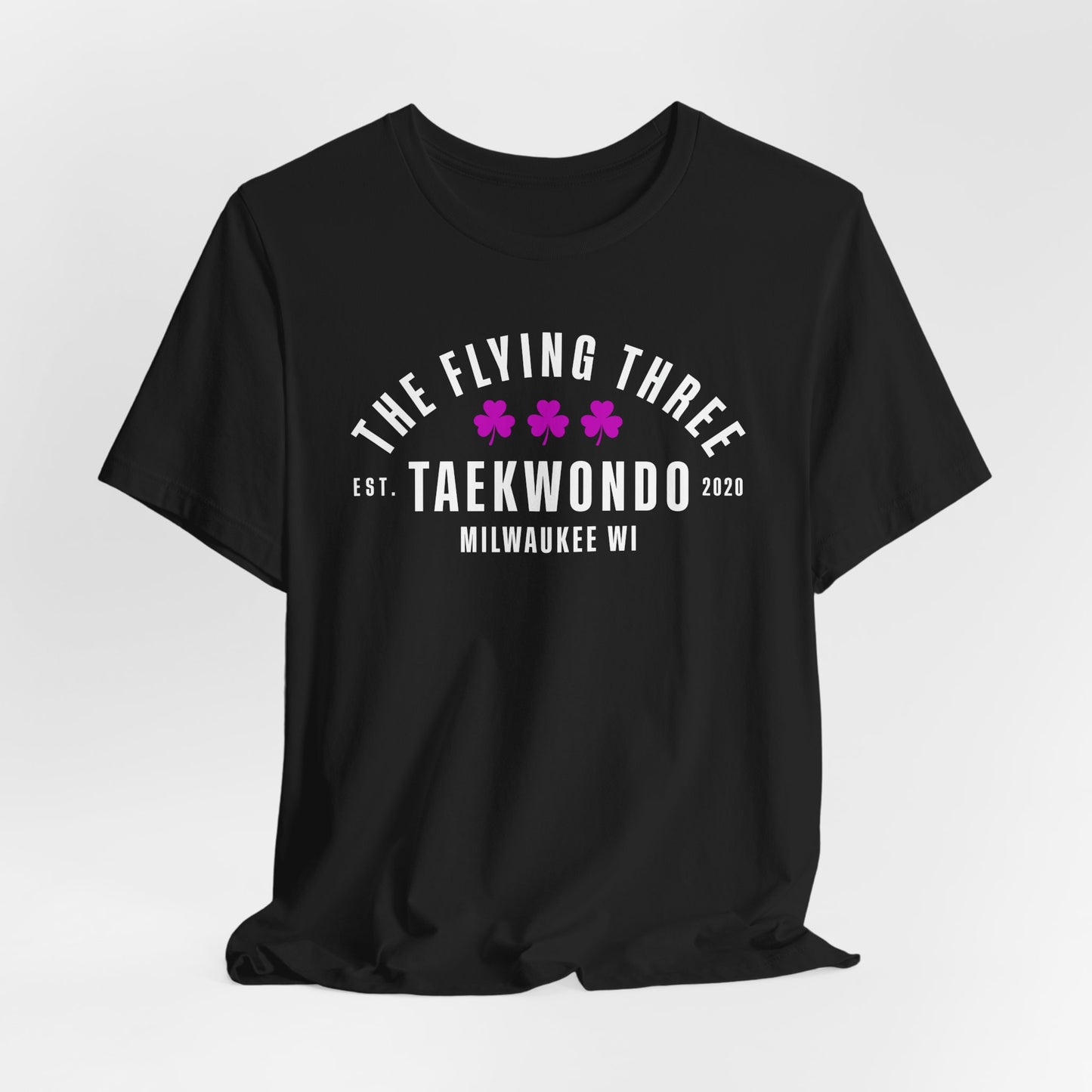 Taekwondo T‑Shirt — “The Flying Three” Milwaukee Martial Arts Tee